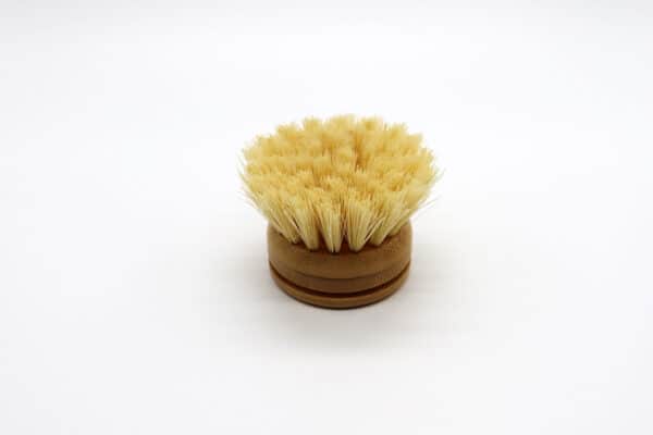 Eco Dish Brush Replacement Head - healthyliving.com.au